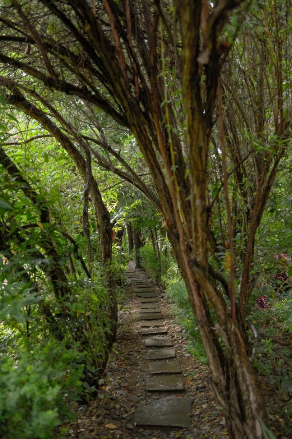Hotel Samanapaq image 8